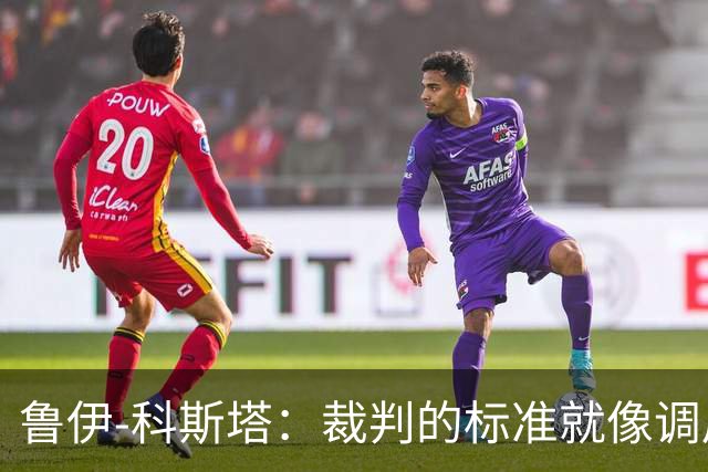 鲁伊-科斯塔：裁判的标准就像调皮小孩，永远不靠谱